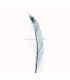 PLUMA PAVO REAL ESPADA 30 CMS.