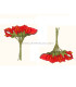 POMO 12 FLORES DE FOAMY