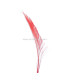 PLUMA PAVO REAL ESPADA 30 CMS.