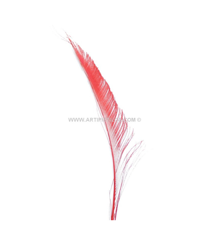 PLUMA PAVO REAL ESPADA 30 CMS.