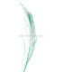 PLUMA PAVO REAL ESPADA 30 CMS.