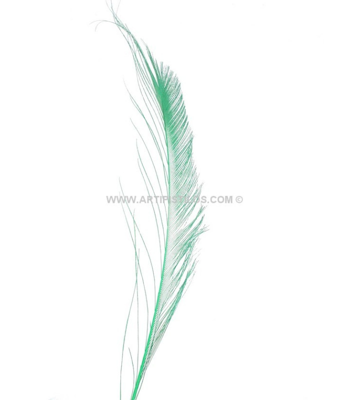 PLUMA PAVO REAL ESPADA 30 CMS.
