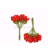 POMO 12 FLORES DE FOAMY
