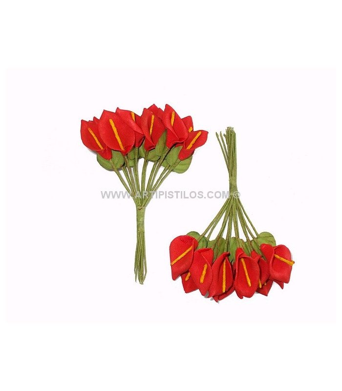 POMO 12 FLORES