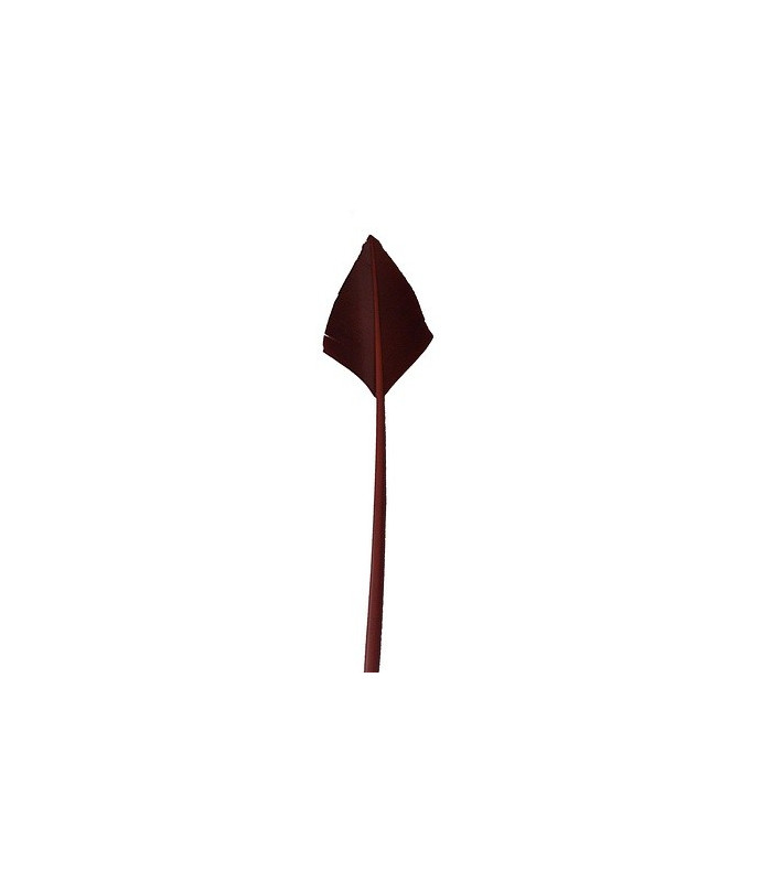 ARROW QUILL 30 CMS.