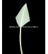 ARROW QUILL 30 CMS.
