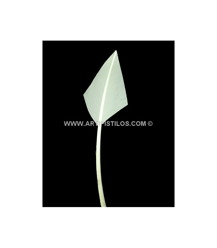 ARROW QUILL 30 CMS.