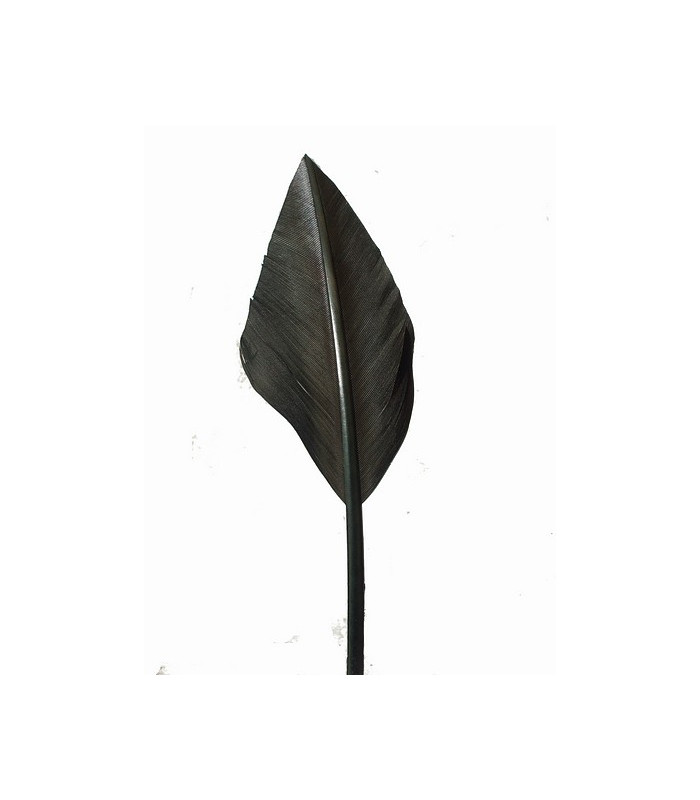 ARROW QUILL 30 CMS.