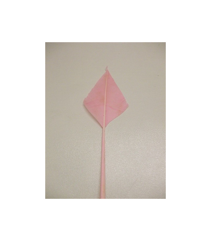 PENA PONTA DE FLECHA 30 CMS.