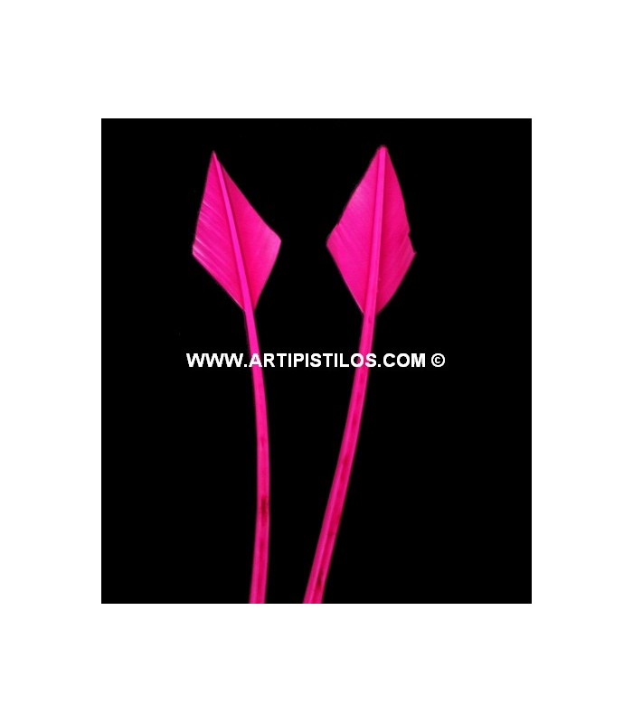 ARROW QUILL 30 CMS.