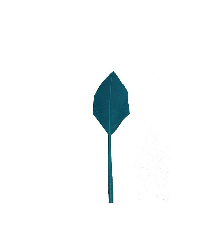 ARROW QUILL 30 CMS.