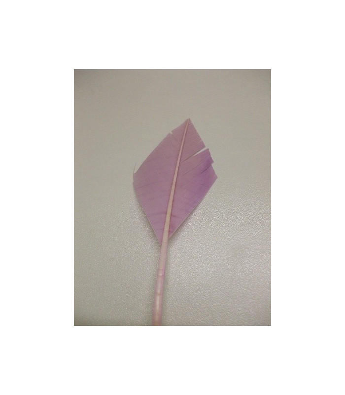 ARROW QUILL 30 CMS.