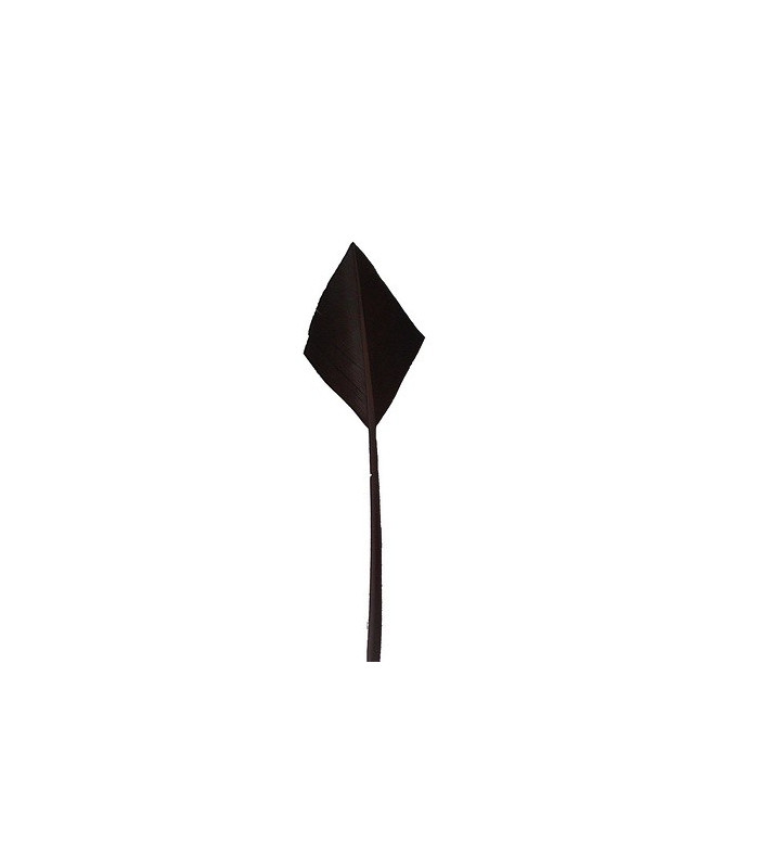 ARROW QUILL 30 CMS.