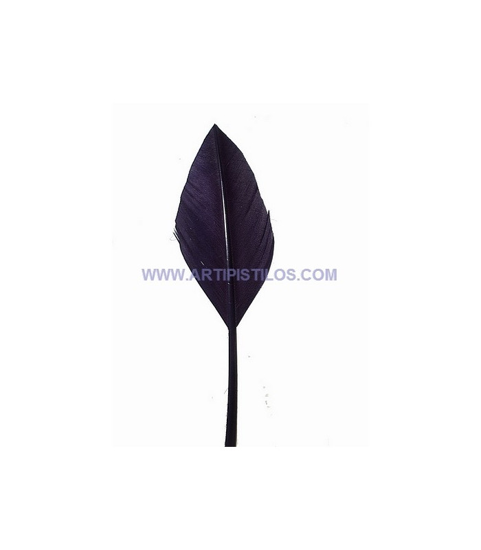 ARROW QUILL 30 CMS.