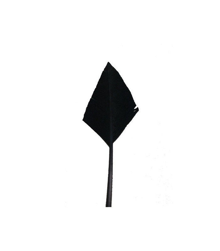 ARROW QUILL 30 CMS.