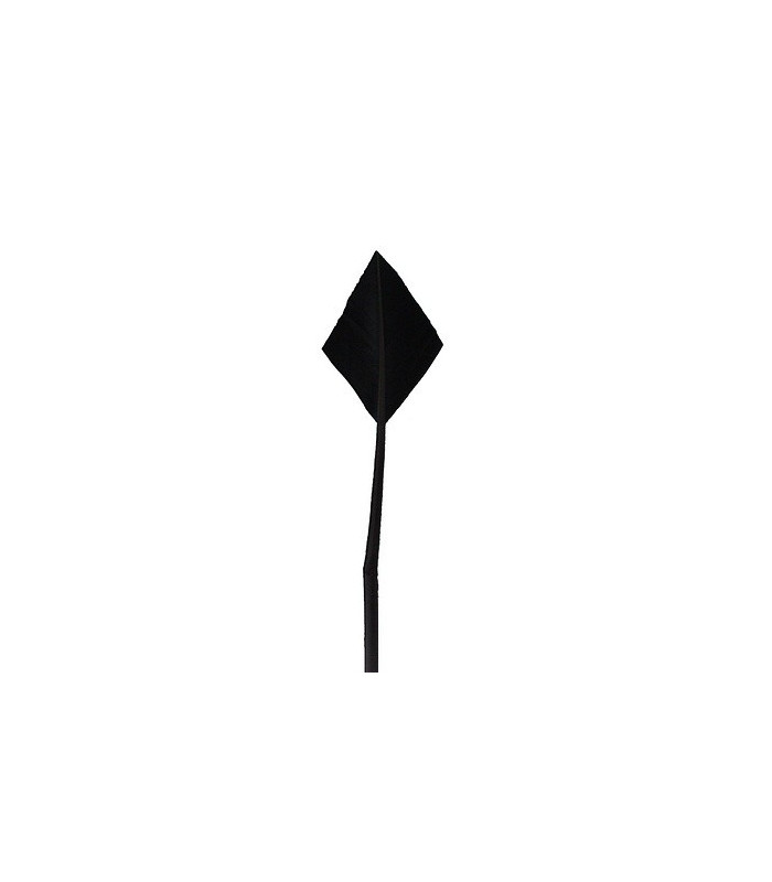 ARROW QUILL 30 CMS.