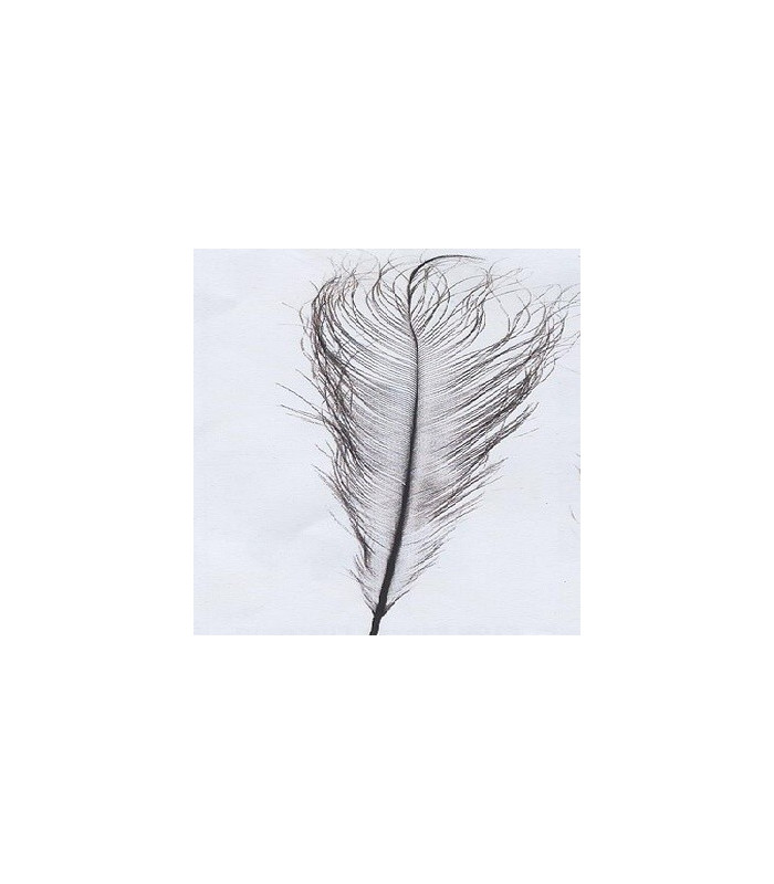 PLUMA DE AVESTRUZ QUEMADA 54-61 CMS.
