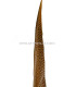PENA DE FAISÃO DOURADO 50 - 55 CMS.