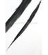 GOLDEN PHEASANT FEATHER 50 - 55 CMS.