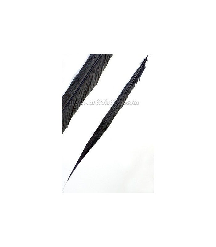 GOLDEN PHEASANT FEATHER 50 - 55 CMS.