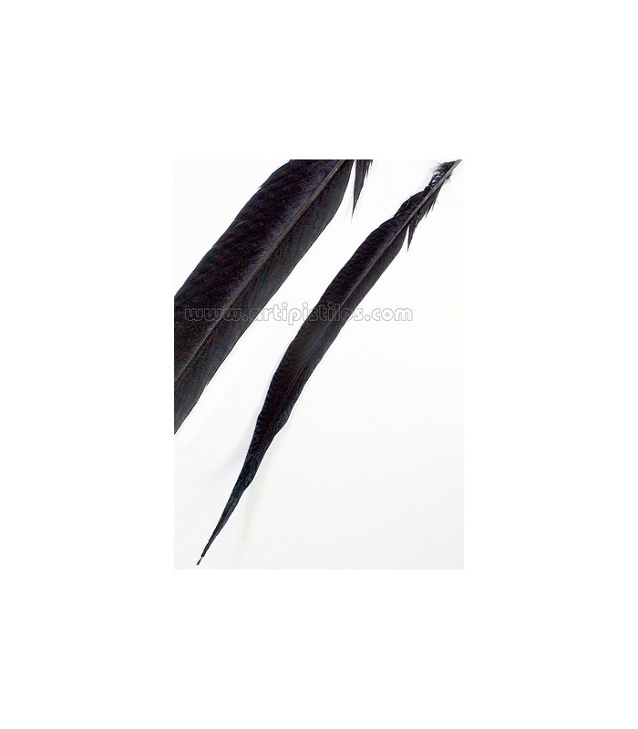 GOLDEN PHEASANT FEATHER 50 - 55 CMS.