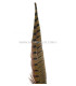 PLUMA DE FAISÁN 36 - 41 CMS.
