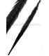 PLUMA DE FAISÁN 36 - 41 CMS.