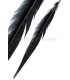PLUMA DE FAISÁN 36 - 41 CMS.