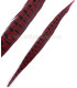 PLUMA DE FAISÁN 36 - 41 CMS.