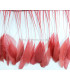STRIPPED ROOSTER FEATHERS FIRST QUALITY  - 10 CMS.