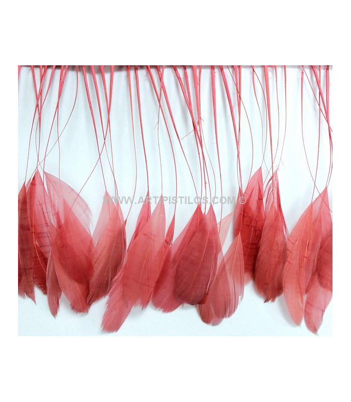 STRIPPED ROOSTER FEATHERS FIRST QUALITY  - 10 CMS.