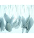 STRIPPED ROOSTER FEATHERS FIRST QUALITY  - 10 CMS.
