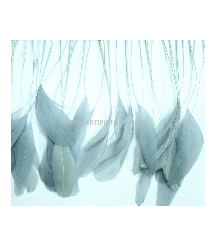 STRIPPED ROOSTER FEATHERS FIRST QUALITY  - 10 CMS.