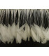 STRIPPED ROOSTER FEATHERS FIRST QUALITY  - 10 CMS.