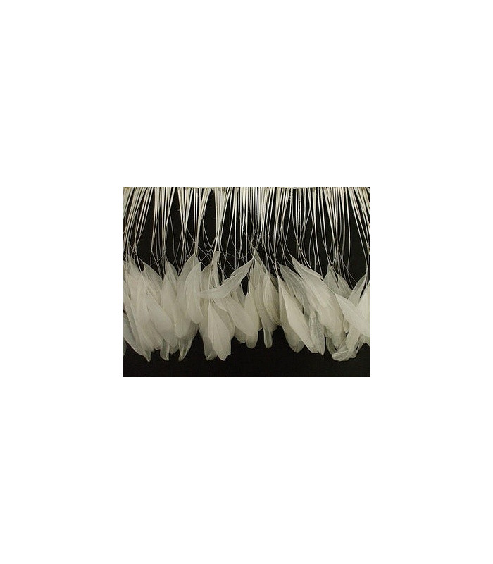 STRIPPED ROOSTER FEATHERS FIRST QUALITY  - 10 CMS.