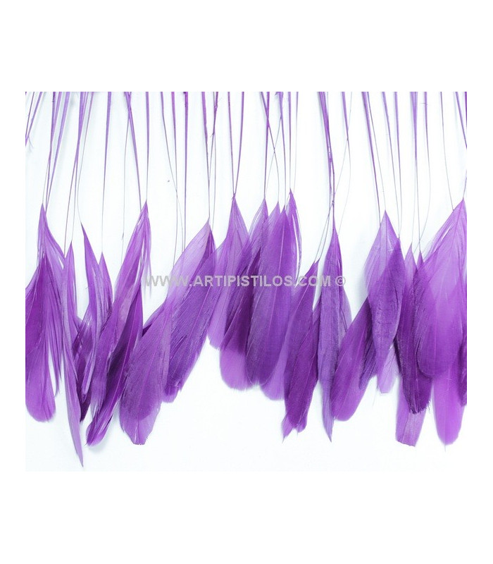 STRIPPED ROOSTER FEATHERS FIRST QUALITY  - 10 CMS.