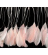 STRIPPED ROOSTER FEATHERS FIRST QUALITY  - 10 CMS.