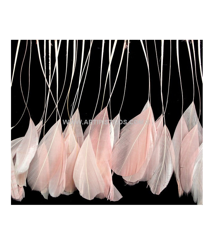 STRIPPED ROOSTER FEATHERS FIRST QUALITY  - 10 CMS.