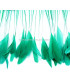 STRIPPED ROOSTER FEATHERS FIRST QUALITY  - 10 CMS.