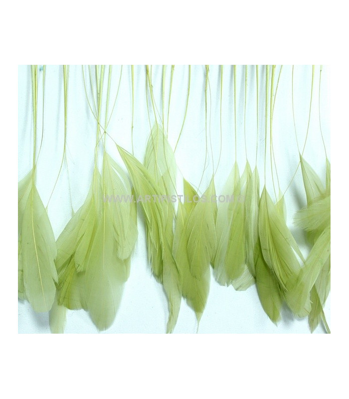 STRIPPED ROOSTER FEATHERS FIRST QUALITY  - 10 CMS.