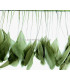 STRIPPED ROOSTER FEATHERS FIRST QUALITY  - 10 CMS.