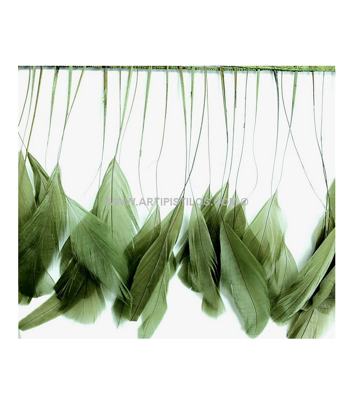 STRIPPED ROOSTER FEATHERS FIRST QUALITY  - 10 CMS.
