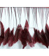 STRIPPED ROOSTER FEATHERS FIRST QUALITY  - 10 CMS.