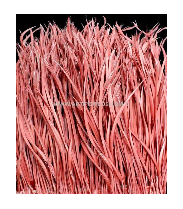 GOOSE BIOT FEATHER FIRST QUALITY -  10 CMS.