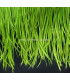 GOOSE BIOT FEATHER FIRST QUALITY -  10 CMS.