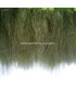 MARABOU FRINGE 10 CMS.