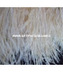 FRINGE OSTRICH FEATHERS 10 CMS.