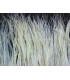 FRINGE OSTRICH FEATHERS 10 CMS.