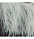 FRINGE OSTRICH FEATHERS 10 CMS.