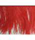 FRINGE OSTRICH FEATHERS 10 CMS.